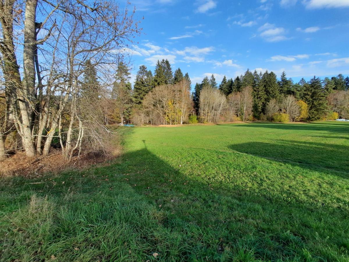 Ferienhaus Ketterer Hinterzarten Bagian luar foto